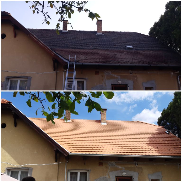 tbkollazs2